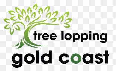 Tree Lopping Gold Coast - Seeds Of Hope Logo png