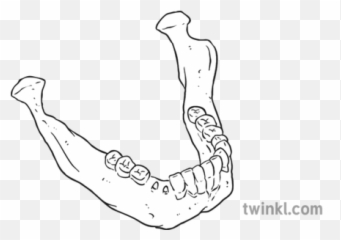 Kauae Mangu Me 1 Illustration - Twinkl Language png