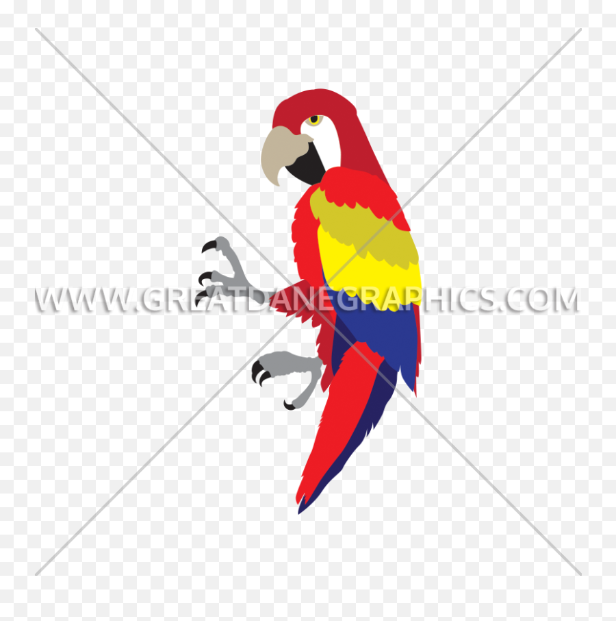 Parrot With Drink Production Ready Artwork For T - Shirt Parrots Png,Macaw Icon