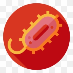 Bacteria - Free education icons Flat Icon png