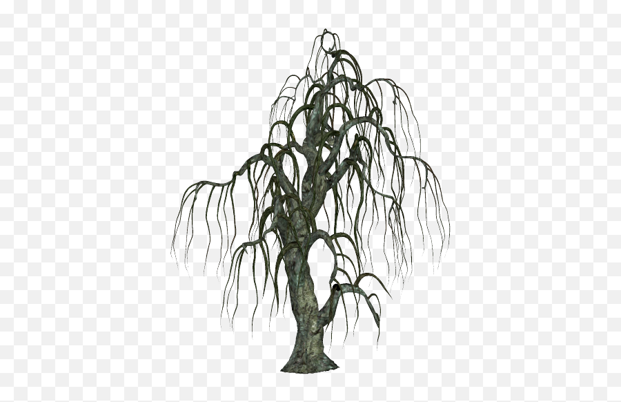 Halloween Spooky Tree 02 - Halloween Spooky Trees Png,Spooky Tree Png