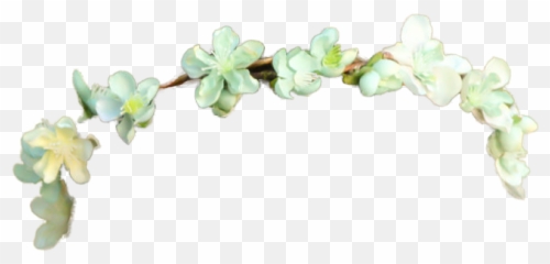 Totally Transparent - Thin Flower Crown Png
