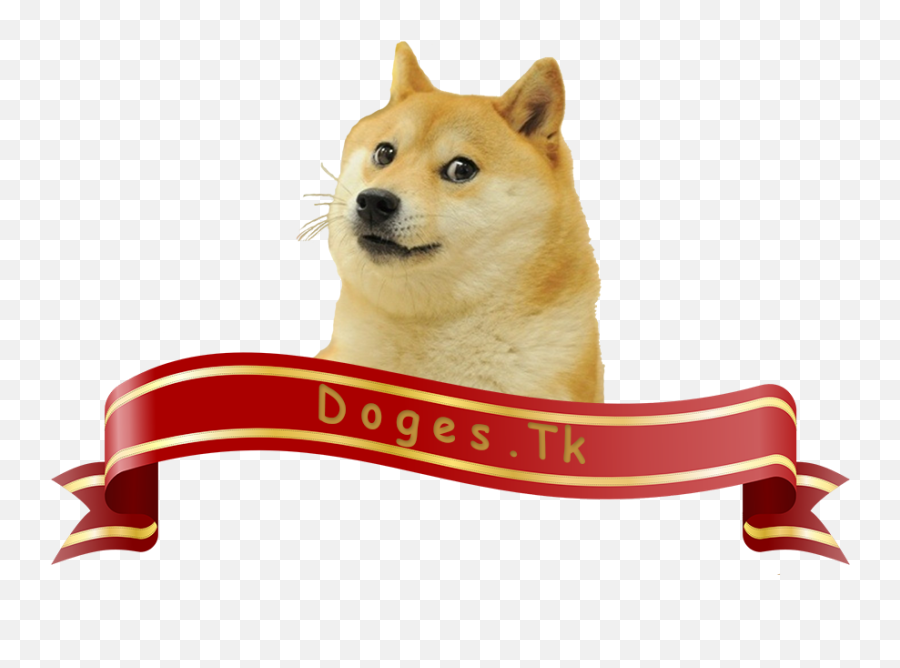 Doges - Shiba Inu Meme Png,Doge Transparent Background
