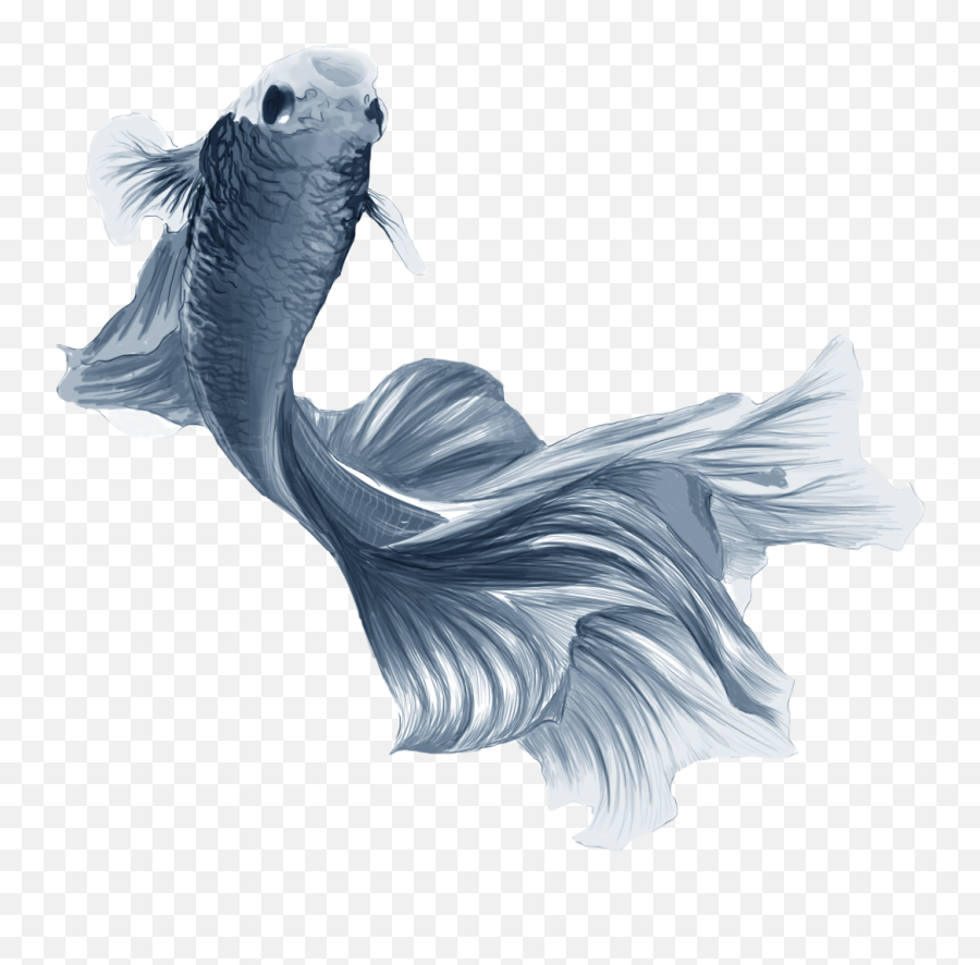 Only Dead Fish Swim With The Stream - Illustration Png,Dead Fish Png