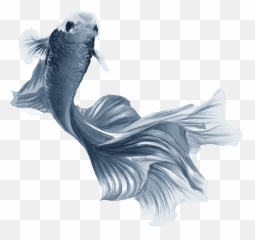 Only Dead Fish Swim With The Stream - Illustration Png,Dead Fish Png