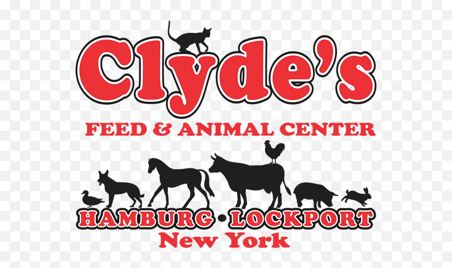 Shop Local Or Online - Clydes Feed Logo Png,Animal Logo