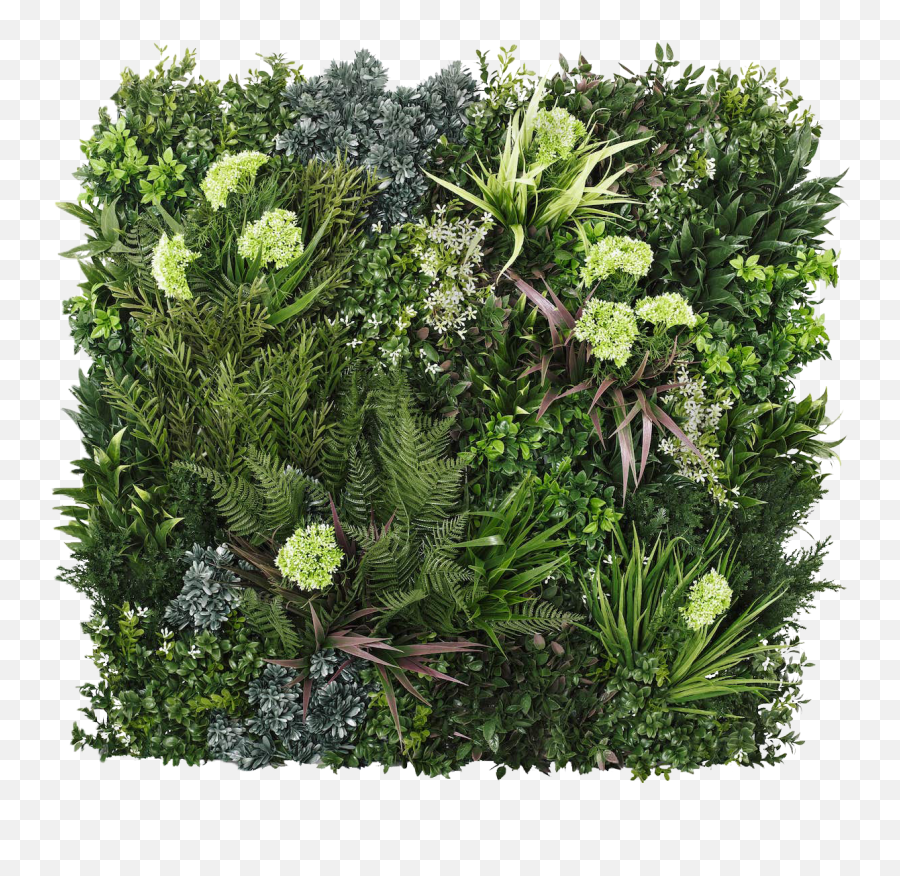 Artificial Green Walls With Vistagreen - Pond Pine Png,Green Wall Png