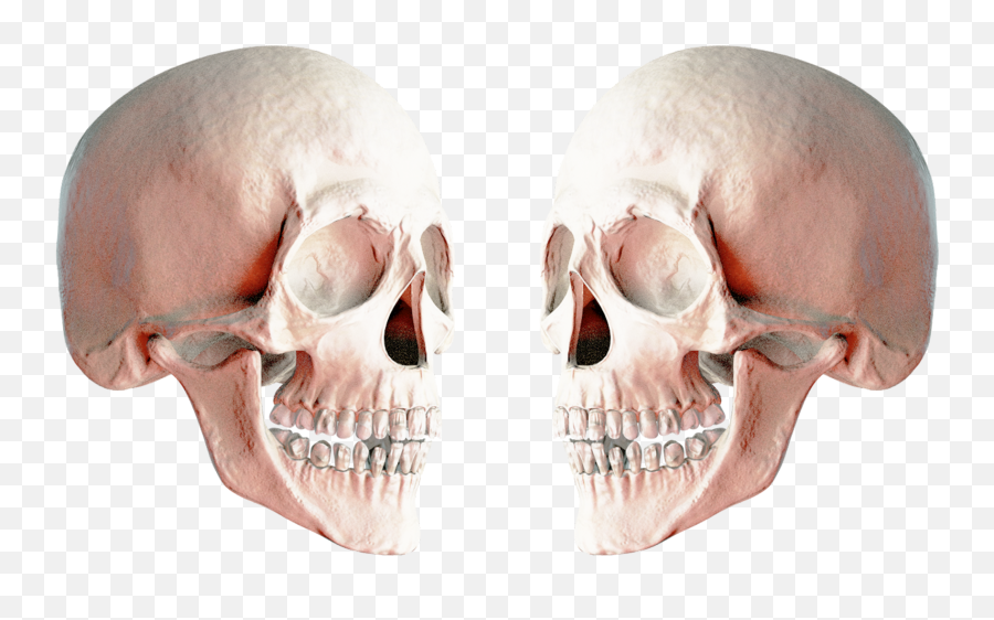 Download Skull Png Image For Free - Two Skulls Transparent,Fortnite Skull Png