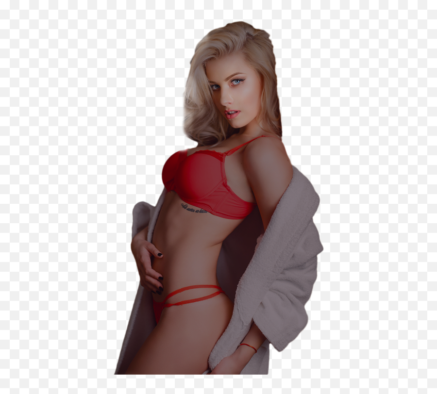 Bachelor Party Strippers In New York - Lingerie Top Png,Stripper Png