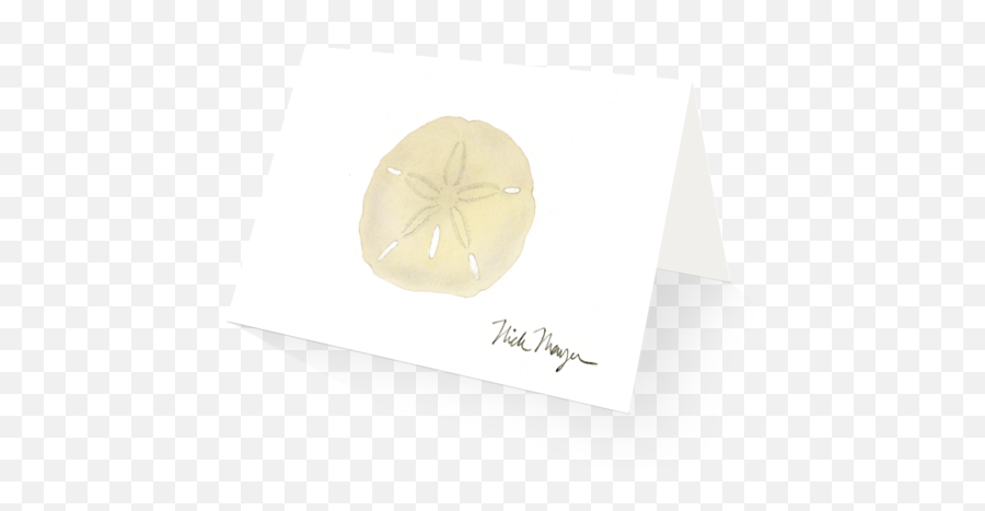 Sand Dollar Boxed Cards - Sand Dollar Png,Sand Dollar Png