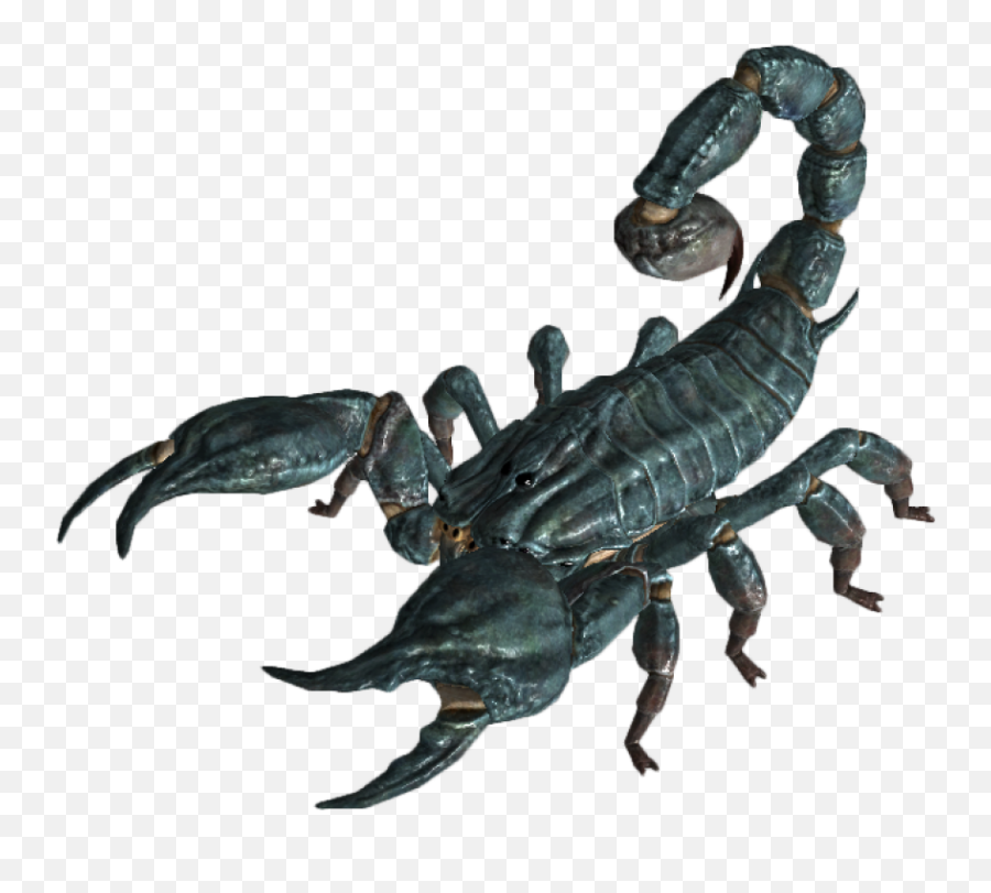 Scorpion Png Free Download 13 - Fallout New Vegas Enemies,Scorpion Png