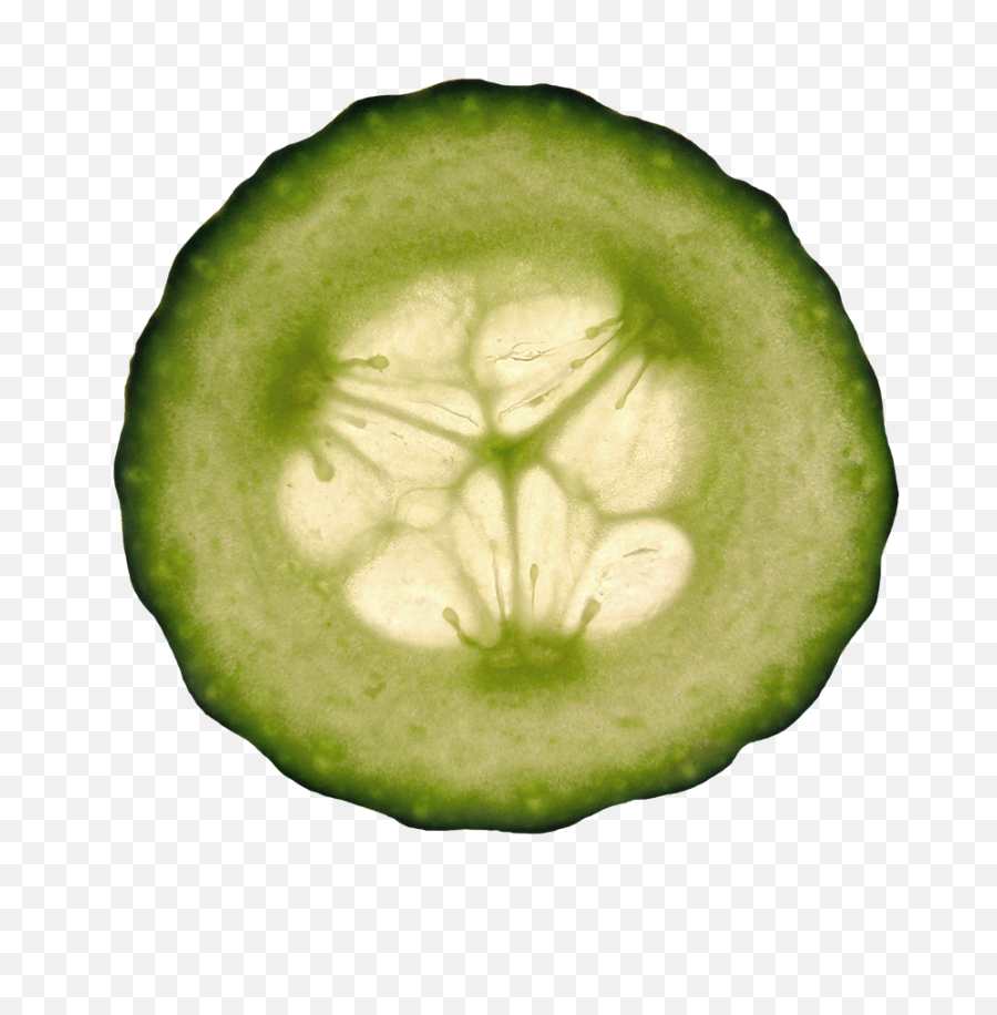 Download Cucumber Slice Clipart - Cucumber Hd Png Download Clip Art,Cucumber Transparent