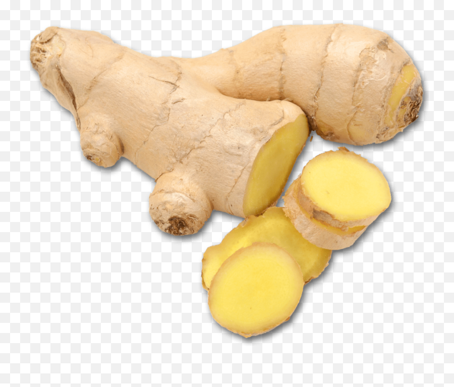 Ginger Bumblezest - Portable Network Graphics Png,Ginger Png
