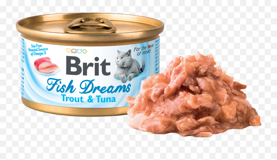 Brit Fish Dreams Trout U0026 Tuna U2013 - Brit Fish Dreams Png,Trout Png