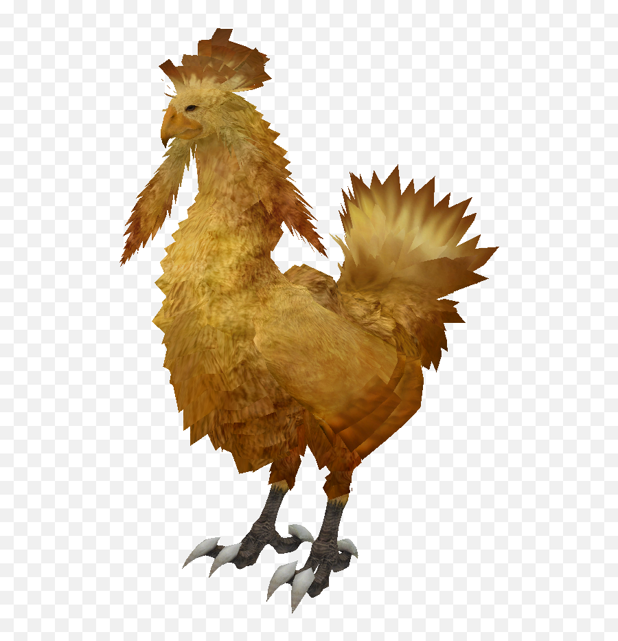 Chocobo - Final Fantasy 13 Chocobo Png,Chocobo Png