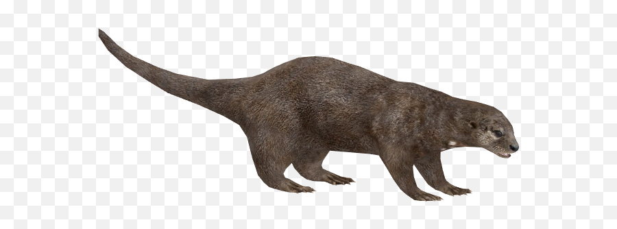 Otter Png Pic - Zoo Tycoon 2 Giant Otter,Otter Png