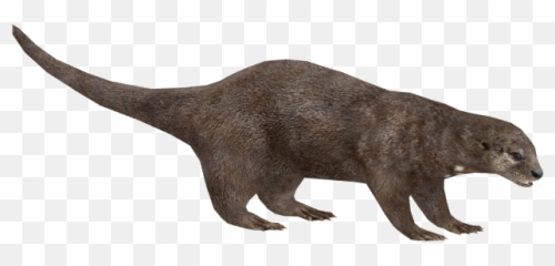 Otter Png Pic - Zoo Tycoon 2 Giant Otter,Otter Png