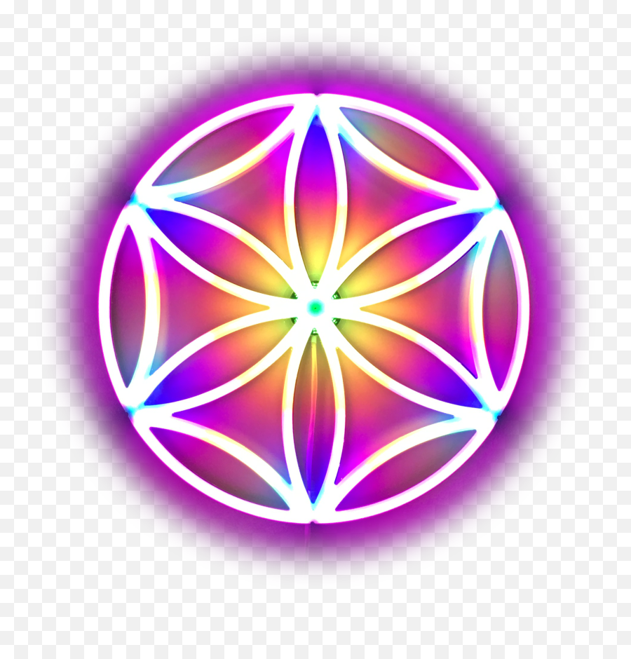 The Flower Of Life Single Seed Art Photonicbliss - Aphrodite Symbol Png,Seed Of Life Png