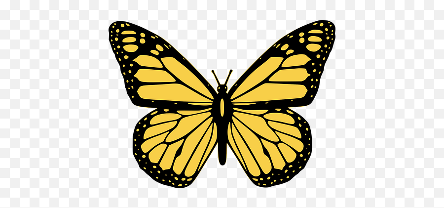 10 Free Butterfly Icon U0026 Vectors - Pixabay Open Door Crisis Centre Png,Butterfly Emoji Png