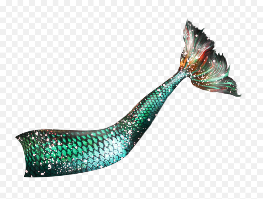 Mermaid Tail 11 Png - Transparent Mermaid Tail Png,Free Png Images Download