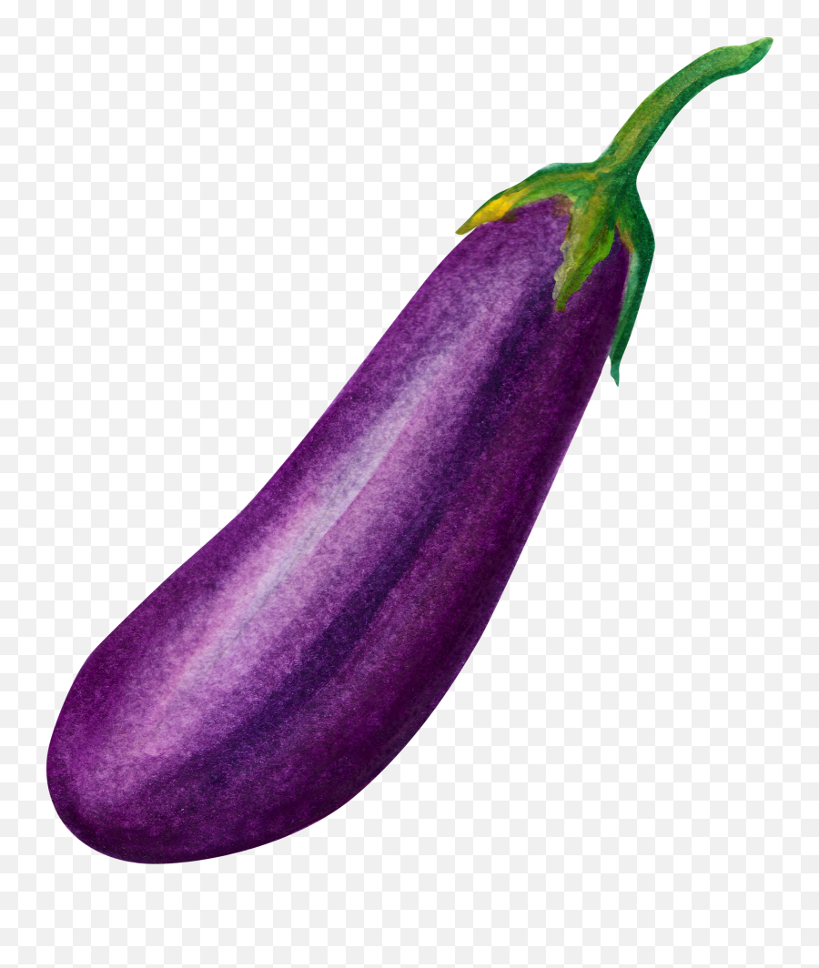 An Eggplant Png Download - Brinjal Png,Eggplant Transparent