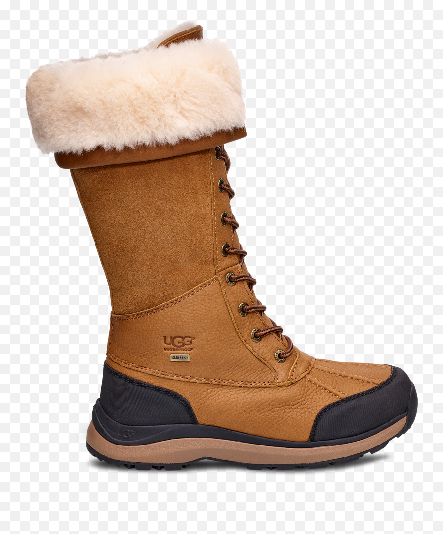 Womens Adirondack Iii Tall Boot - Uggs Boots Adirondack Png,Icon Standard Boot