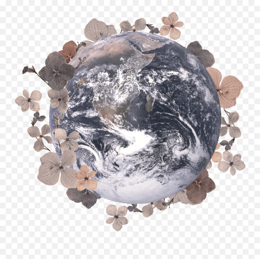 Carbon Positive Order U2013 Christy Dawn - Blue Marble Png,Icon Buttons Tumblr
