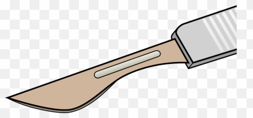 Dessin Scalpel 3 - Dissection Clipart Png,Scalpel Png