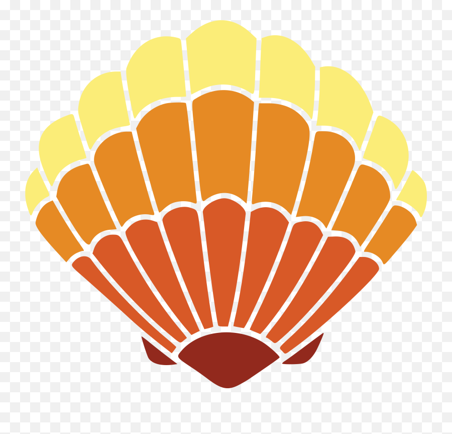 Download Hd Go To Image - Sea Shell Clipart Png,Sea Shell Png