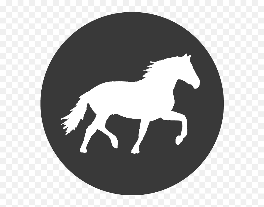 Knox Horse Icon - Facebook Full Size Png Download Seekpng Animal Figure,Facebook Website Icon