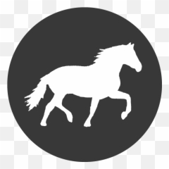 Knox Horse Icon - Facebook Full Size Png Download Seekpng Animal Figure,Facebook Website Icon