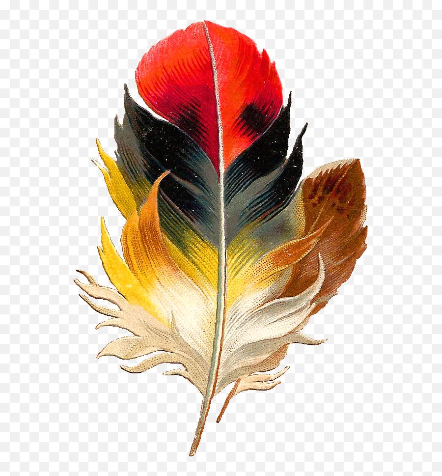 Download Free Watercolor Feather Png Icon - Transparent Colorful Feather Png,Watercolor Pinterest Icon