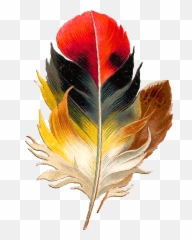 Download Free Watercolor Feather Png Icon - Transparent Colorful Png