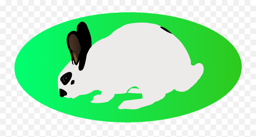 Easter White Rabbit Green Ellipse - Cartoon Png,White Rabbit Png