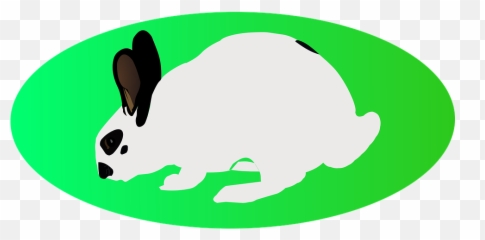 Easter White Rabbit Green Ellipse - Cartoon Png,White Rabbit Png