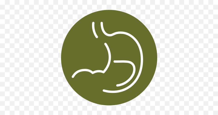 Gastroenterology Png Icon
