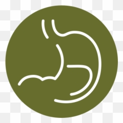 Gastroenterology Png
