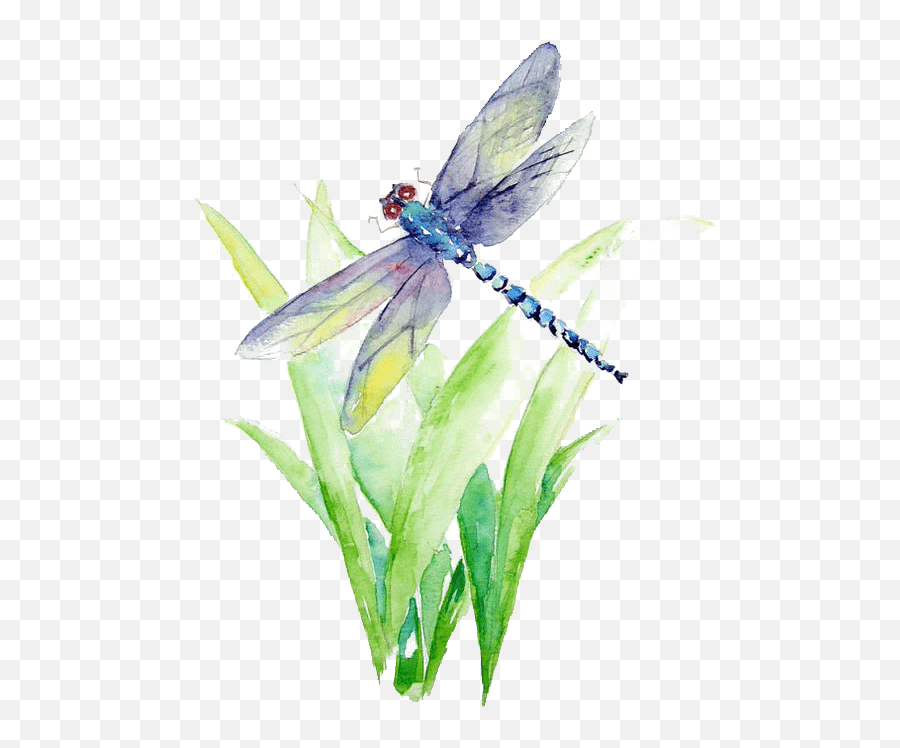 Blue And Purple Dragonfly Illustration Watercolor Painting - Dragonfly Watercolor Painting Png,Dragonfly Png