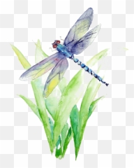 Blue And Purple Dragonfly Illustration Watercolor Painting - Dragonfly Watercolor Painting Png,Dragonfly Png