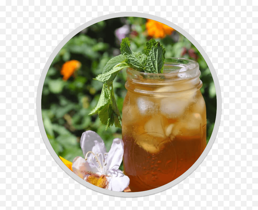 Speak Easy U2014 Good Medicine Tea Png Iced