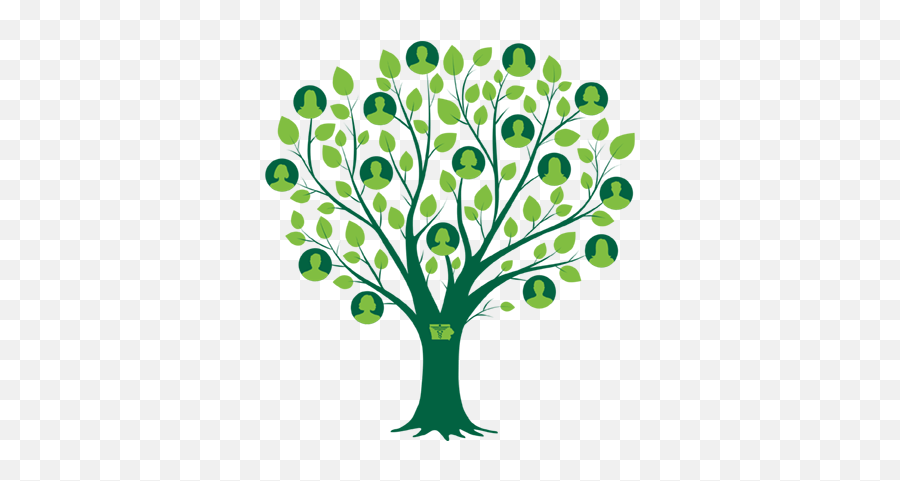 Family Tree Clipart Png People 40 Stunning Cliparts - Family Tree Clipart Png,Family Clipart Png