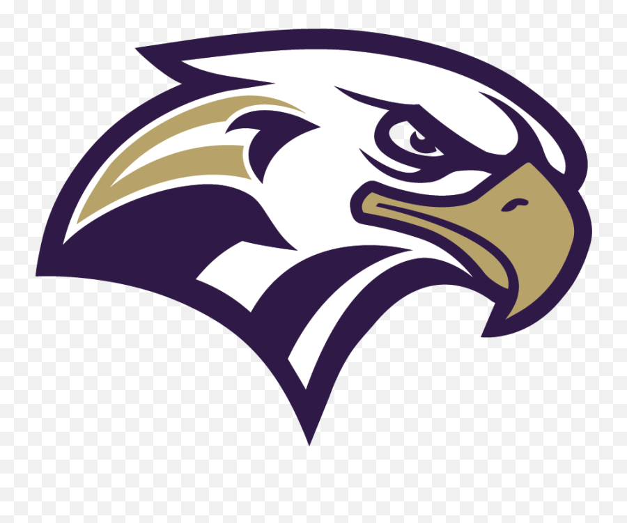 Bald Eagle Logo Beak Philadelphia - Eagle Football Logo Png,Eagle Logo Transparent