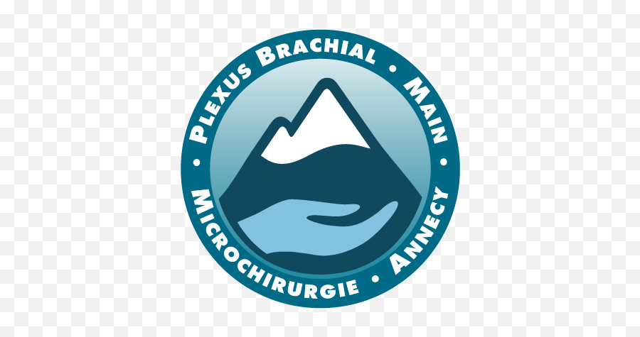 Plexus Brachial - Microchirurgie Chirurgie De La Main House Of Terror Png,Plexus Logo