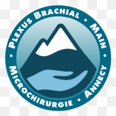 Plexus Brachial - Microchirurgie Chirurgie De La Main House Of Terror Png,Plexus Logo