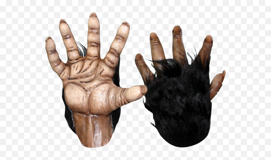 Download Monster Hands Png Black And White - Chimp Hands Png,Chimp Png