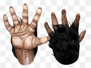 Download Monster Hands Png Black And White - Chimp Hands Png,Chimp Png