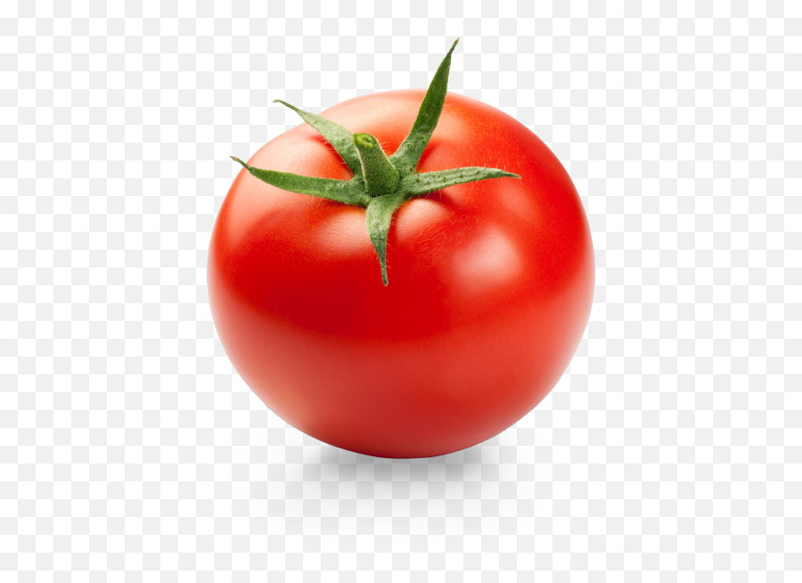 Tomatoes - Red Tomato Png,Tomato Png