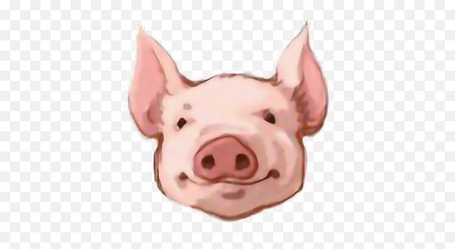 Download Pig Head Png - Transparent Background Pig Head Clipart,Pig Transparent Background