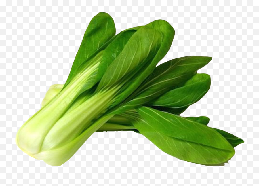 Bok Choy Png Image With Images Vegetables Grocery - Bok Choy Png,Celery Png