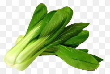 Bok Choy Png Image With Images Vegetables Grocery - Bok Choy Png,Celery Png